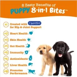 Zesty Paws Puppy 8-in-1 Chicken Flavor Soft Chews Multivitamin Supplement For Dogs + 2 Items -Zesty Paws 662366 PT2. AC SS1800 V1697138531