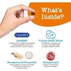 Zesty Paws Puppy 8-in-1 Chicken Flavor Soft Chews Multivitamin Supplement For Dogs & Zesty Paws Wild Alaskan Salmon Oil Liquid Skin & Coat Supplement For Dogs & Cats -Zesty Paws 662790 PT8. AC SS1800 V1701878416