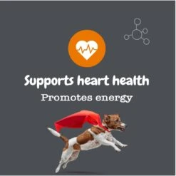 Zesty Paws Healthy Aging NAD+ Precursor Cellular Energy, Brain, & Heart Supplement + Probiotic Pill Wrap For Dogs -Zesty Paws 945862 PT5. AC SS1800 V1701379887