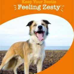 Zesty Paws 8-in-1 Bites Peanut Butter Flavored Soft Chews Multivitamin For Dogs -Zesty Paws 960934 PT4. AC SS1800 V1698094468