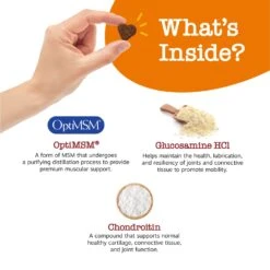 Ancient Elements™ Mobility Bites™ For Dogs - Hip & Joint Support With OptiMSM®, Functional Dog Supplement -Zesty Paws API2.0AEMobility 04