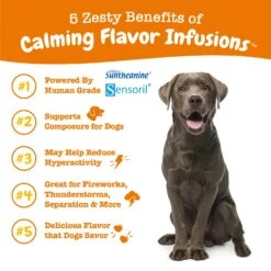 Calming Flavor Infusions™ For Dogs -Zesty Paws API 2.0 Calming Infusion 12oz 05