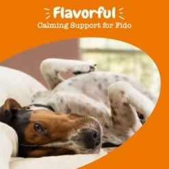 Calming Flavor Infusions™ For Dogs -Zesty Paws API 2.0 Calming Infusion 12oz 06