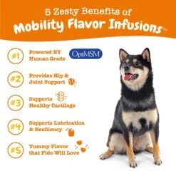 Mobility Flavor Infusions For Dogs -Zesty Paws API 2.0 Mobility Infusion 12oz 05