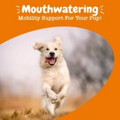 Mobility Flavor Infusions For Dogs -Zesty Paws API 2.0 Mobility Infusion 12oz 06