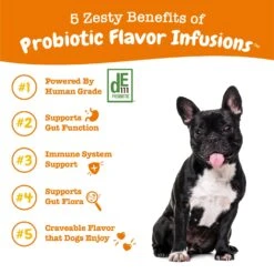 Probiotic Flavor Infusions™ For Dogs -Zesty Paws API 2.0 Probiotic Infusion 05