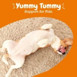 Probiotic Flavor Infusions™ For Dogs -Zesty Paws API 2.0 Probiotic Infusion 06