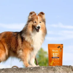 Zesty Paws 8-in-1 Multifunctional Soft Chews For Dogs - Chicken Flavor - 60ct -Zesty Paws GUEST 459f58d1 9b63 43aa 82e5 ca02fcc71fd0
