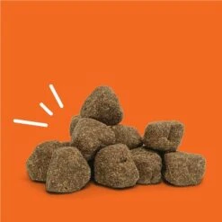 Zesty Paws Skin Health Omega 3 Soft Chews For Dogs - Chicken Flavor - 60ct -Zesty Paws GUEST 651ba2f9 ee34 404b b2b7 da018c6114f0