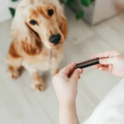 Zesty Paws Hemp Elements Behavior Calming OraStix For Dogs - Peppermint Flavor -Zesty Paws GUEST 784f3722 b040 48ee 9bc4 ebcba59e983f